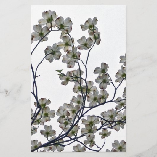 Weißes Dogwood Briefpapier (Vorderseite)