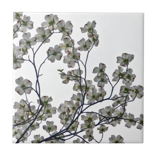 Weißes Dogwood Fliese (Vorderseite)