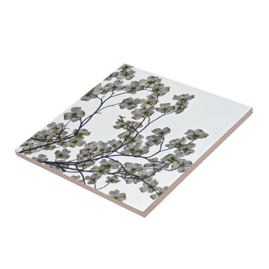 Weißes Dogwood Fliese (Seite)