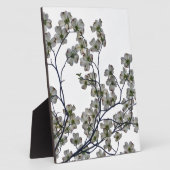 Weißes Dogwood Fotoplatte (Seite)