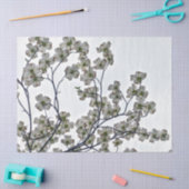Weißes Dogwood Seidenpapier (Basteln)