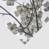 Weißes Dogwood Seidenpapier (Detail)