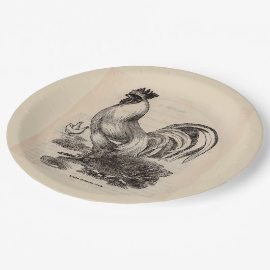 Weißes Dorking-Hahn aus dem 19. Jahrhundert Pappteller (Schrägansicht)