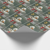 Weißes Duckeln in einer Regengrube mit #3 Ballon Geschenkpapier (Ecke)