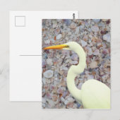 Weißes Ego Postkarte (Vorne/Hinten)
