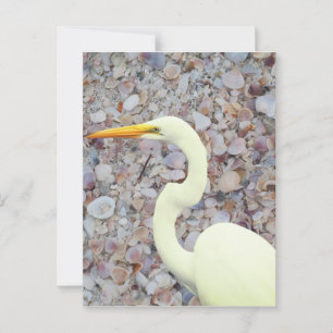 Weißes Ego Postkarte