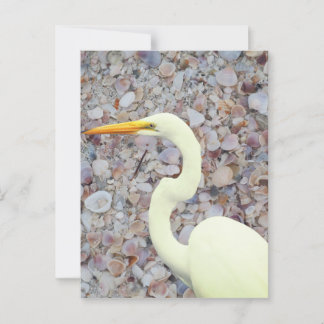 Weißes Ego Postkarte