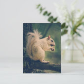 Weißes Eichhörnchen Postkarte (Stehend Vorderseite)