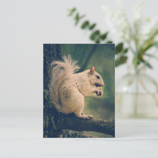Weißes Eichhörnchen Postkarte (Stehend Vorderseite)