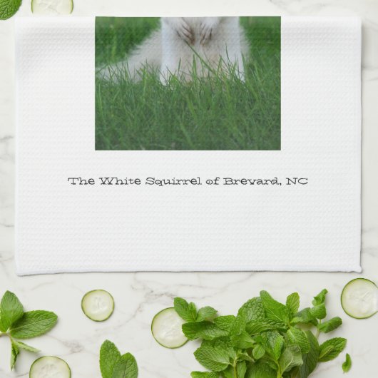 Weißes Eichhörnchen von Brevard Geschirrtuch (Gefaltet)