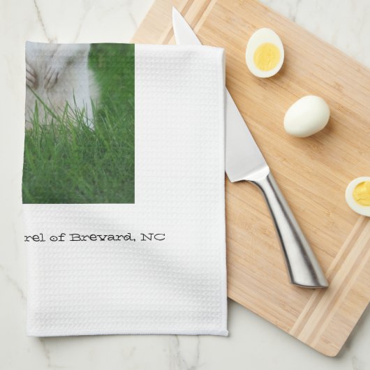 Weißes Eichhörnchen von Brevard Geschirrtuch (Viertel Falte)