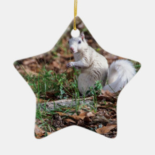Weißes Eichhörnchen von Brevard Keramik Ornament