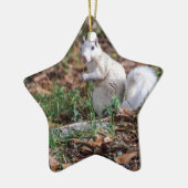 Weißes Eichhörnchen von Brevard Keramik Ornament (Links)