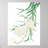 Weißes Epiphyllum Blume Aquarell Poster (Vorne)