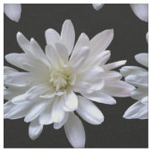 Weißes Farbmuster, weiße Blume Stoff (Nahaufnahme)