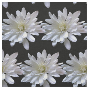 Weißes Farbmuster, weiße Blume Stoff