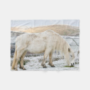 Weißes Fell-Pony auf dem Hochmoor im Winter Fleecedecke