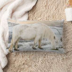 Weißes Fell-Pony auf dem Hochmoor im Winter Lendenkissen