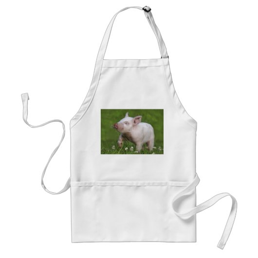 Weißes Ferkel-riechende Blumen Schürze (Vorne)