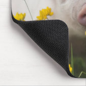 Weißes Ferkel umgeben durch gelbe Blumen Mousepad (Ecke)