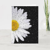 Weißes Fleckchen mit Regentropfen Karte (Vorderseite)