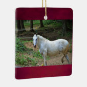 Weißes Foto Keramikornament (Rechts)