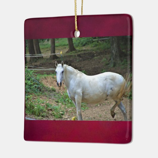 Weißes Foto Keramikornament (Links)