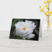 Weißes Foto mit Gelb im Herzen Karte (Gelbe Blume)