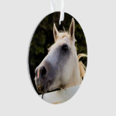 Weißes Foto Ornament (Vorderseite)