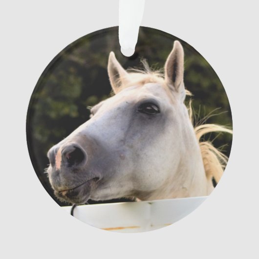 Weißes Foto Ornament (Vorderseite)