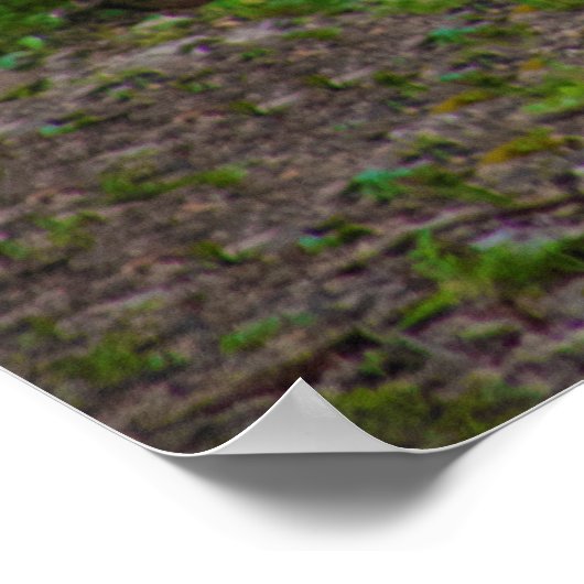 Weißes Foto Poster (Ecke)