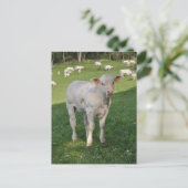 Weißes Foto Postkarte (Stehend Vorderseite)