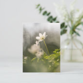 Weißes Foto Postkarte (Stehend Vorderseite)