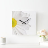 Weißes Gänseblümchen-Blumen-Hintergrund Quadratische Wanduhr (Zuhause)