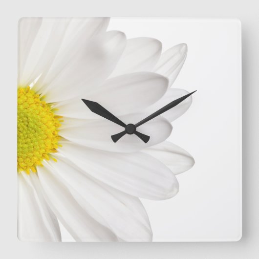 Weißes Gänseblümchen-Blumen-Hintergrund Quadratische Wanduhr (Vorderseite)