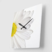 Weißes Gänseblümchen-Blumen-Hintergrund Quadratische Wanduhr (Winkel)