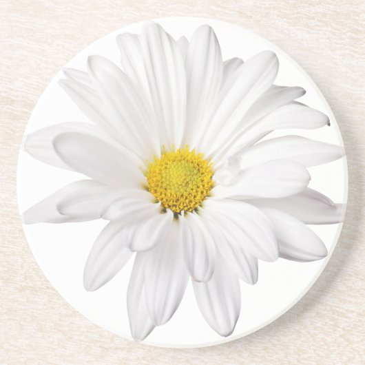 Weißes Gänseblümchen-Blumen-Hintergrund Untersetzer (Vorne)