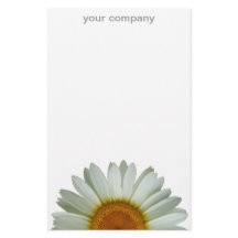 Weißes Gänseblümchen