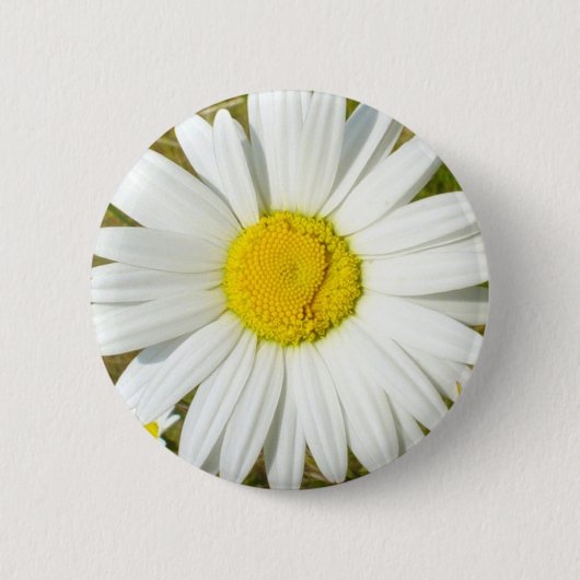 Weißes Gänseblümchen Button (Vorderseite)