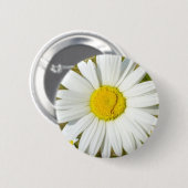 Weißes Gänseblümchen Button (Vorne & Hinten)