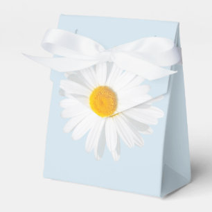 weißes Gänseblümchen Geschenkschachtel