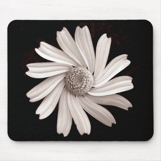 Weißes Gänseblümchen Mousepad (Vorne)
