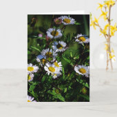 Weißes Gänseblümchen-Raum-Gruß-Karte Karte (Gelbe Blume)