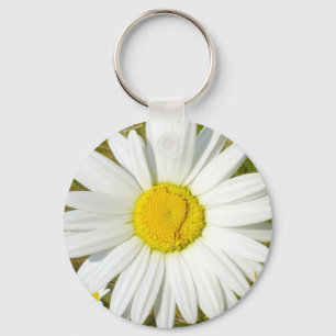 Weißes Gänseblümchen Schlüsselanhänger