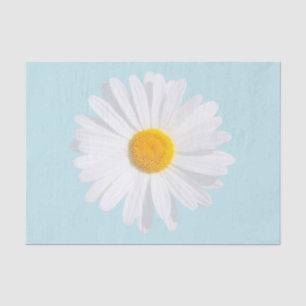 weißes Gänseblümchen Seidenpapier