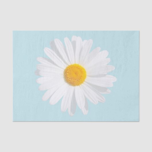 weißes Gänseblümchen Seidenpapier (Vorderseite)