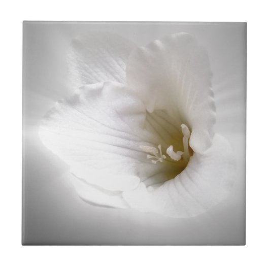 Weißes Gefrierwasser Fliese (Vorderseite)