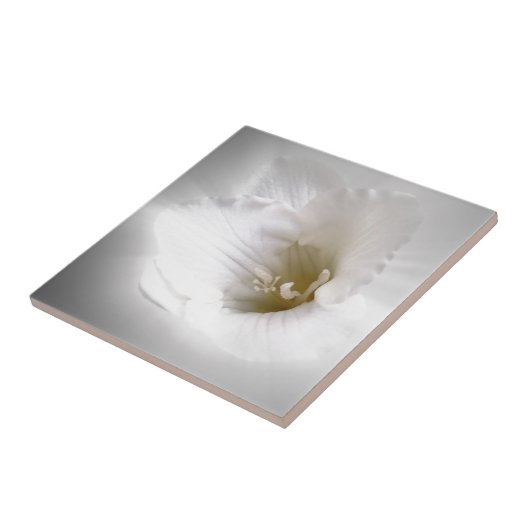 Weißes Gefrierwasser Fliese (Seite)