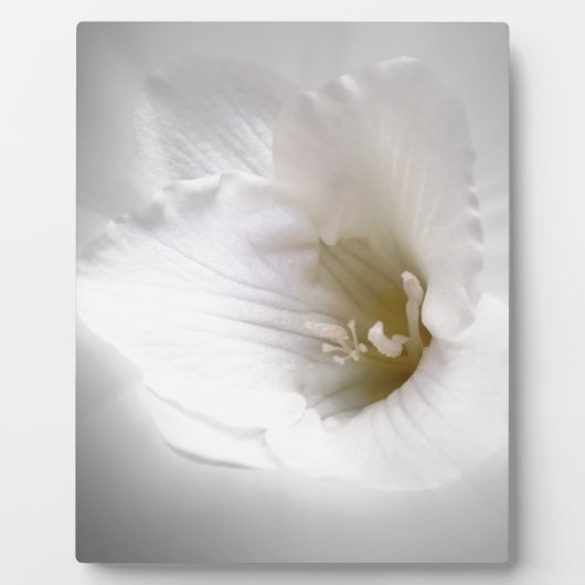 Weißes Gefrierwasser Fotoplatte (Vorderseite)