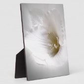 Weißes Gefrierwasser Fotoplatte (Seite)